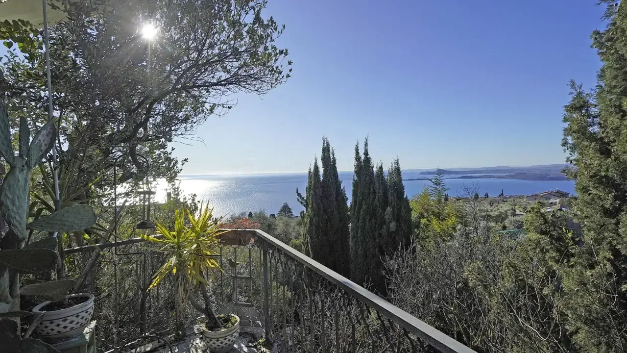 Terrasse mit Panoramablick auf den See und umliegende Vegetation