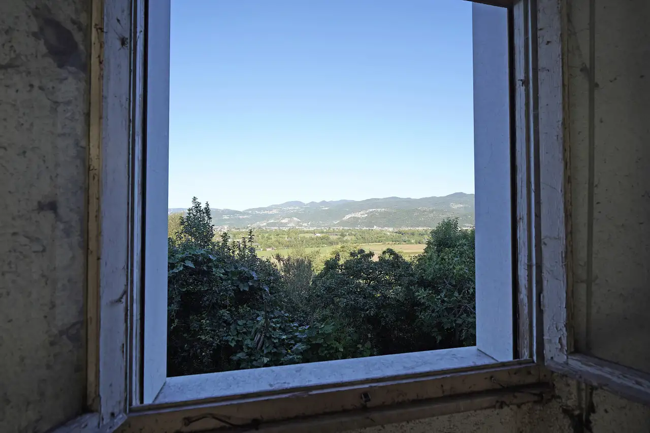 View from window of trees and mountains