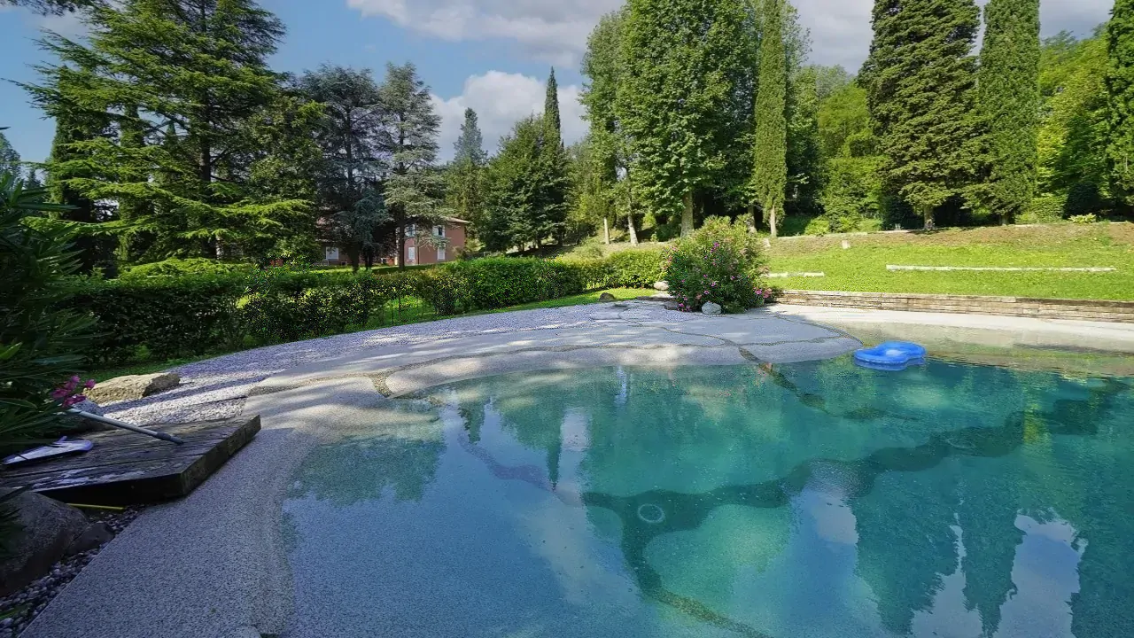 Piscina con acqua limpida e area circostante con piante e alberi