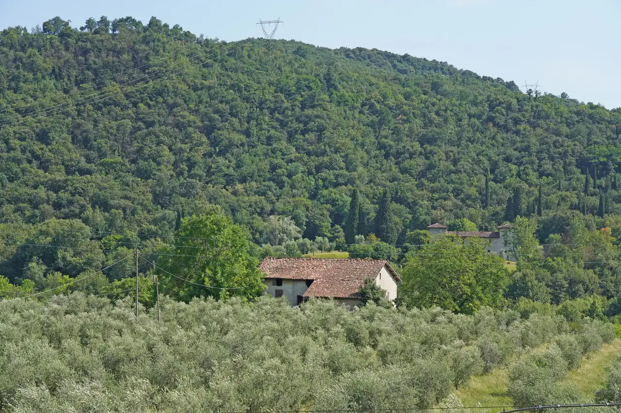 Rustico immerso nel terreno con alberi e collina sullo sfondo