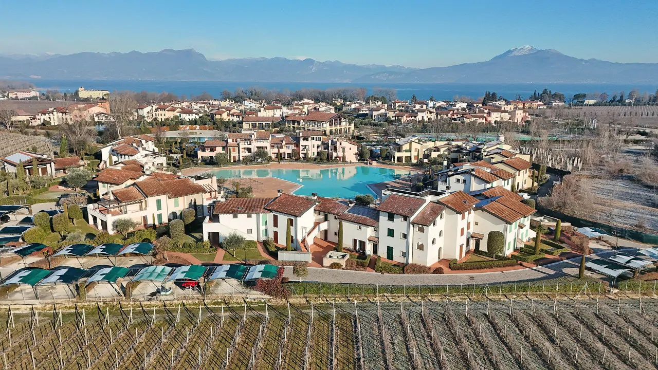 Aerial view of the residence with pool and vineyard in the foreground