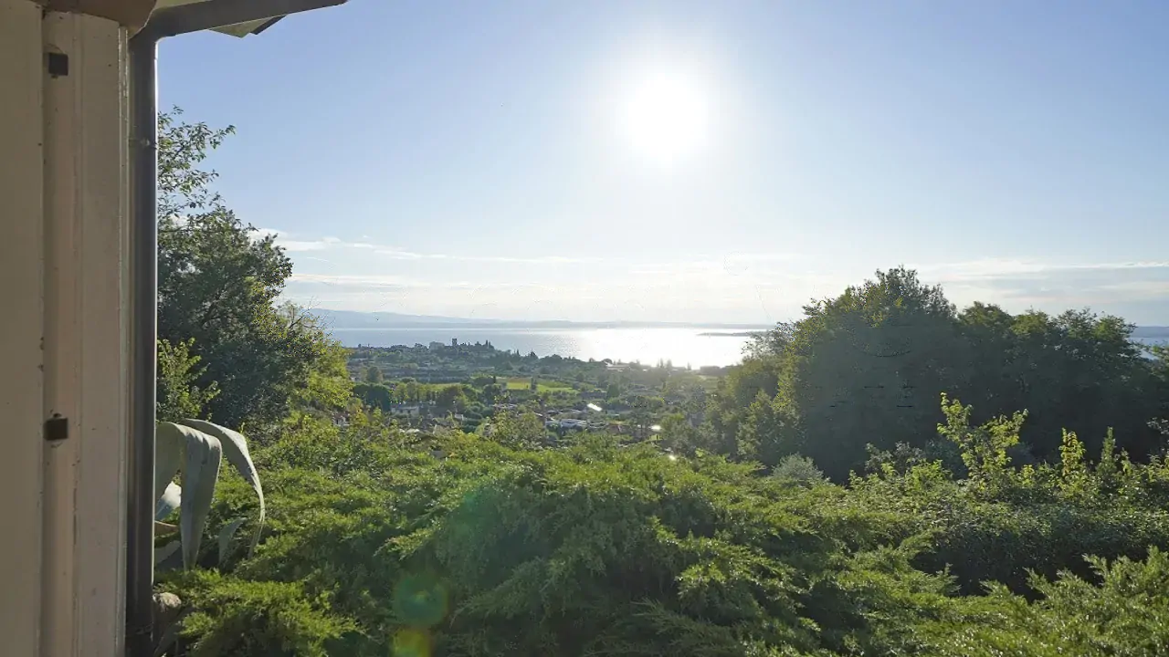 Vista panoramica sul lago e vegetazione verde