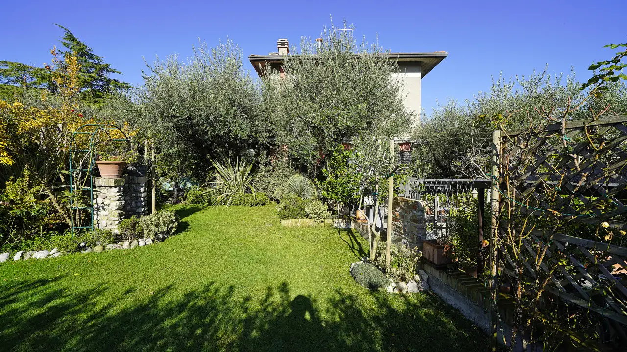 Garden with lawn and various plants in front of the villa