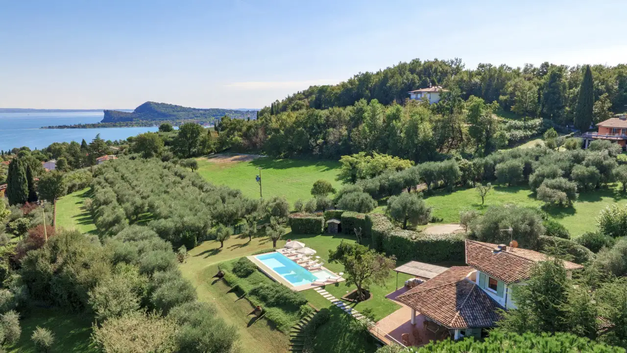 Aerial view of villa with pool and olive grove