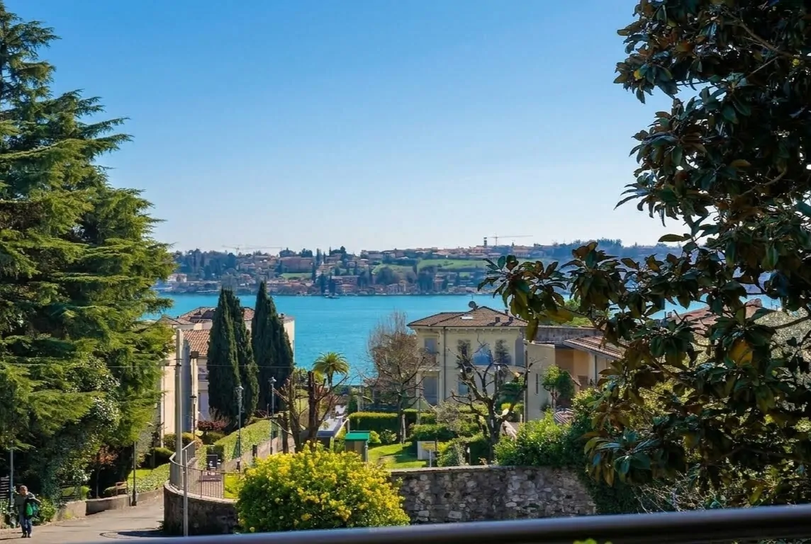 Lake view from balcony with trees and houses