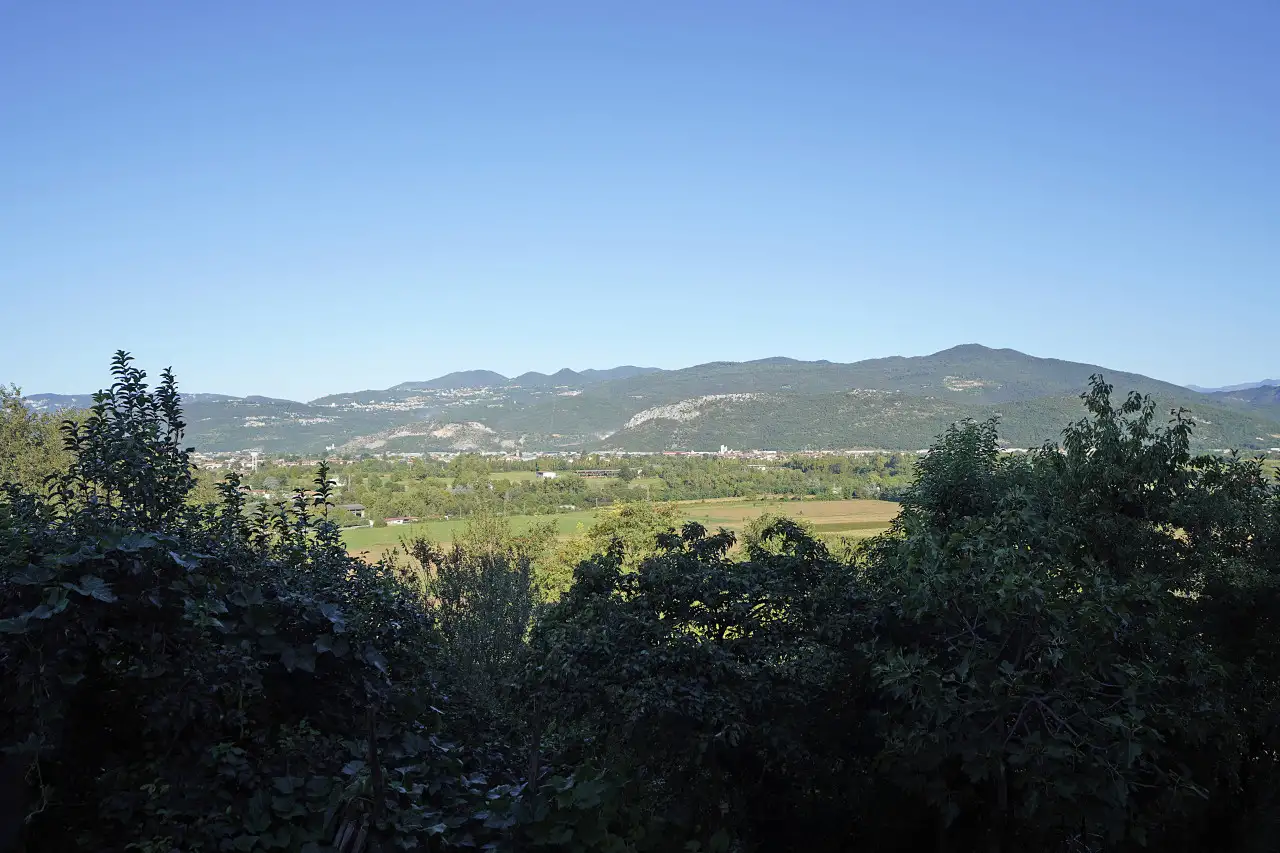 Panoramic view of hills and green trees