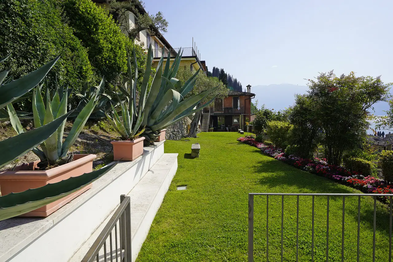 Giardino con piante grasse e aiuola fiorita