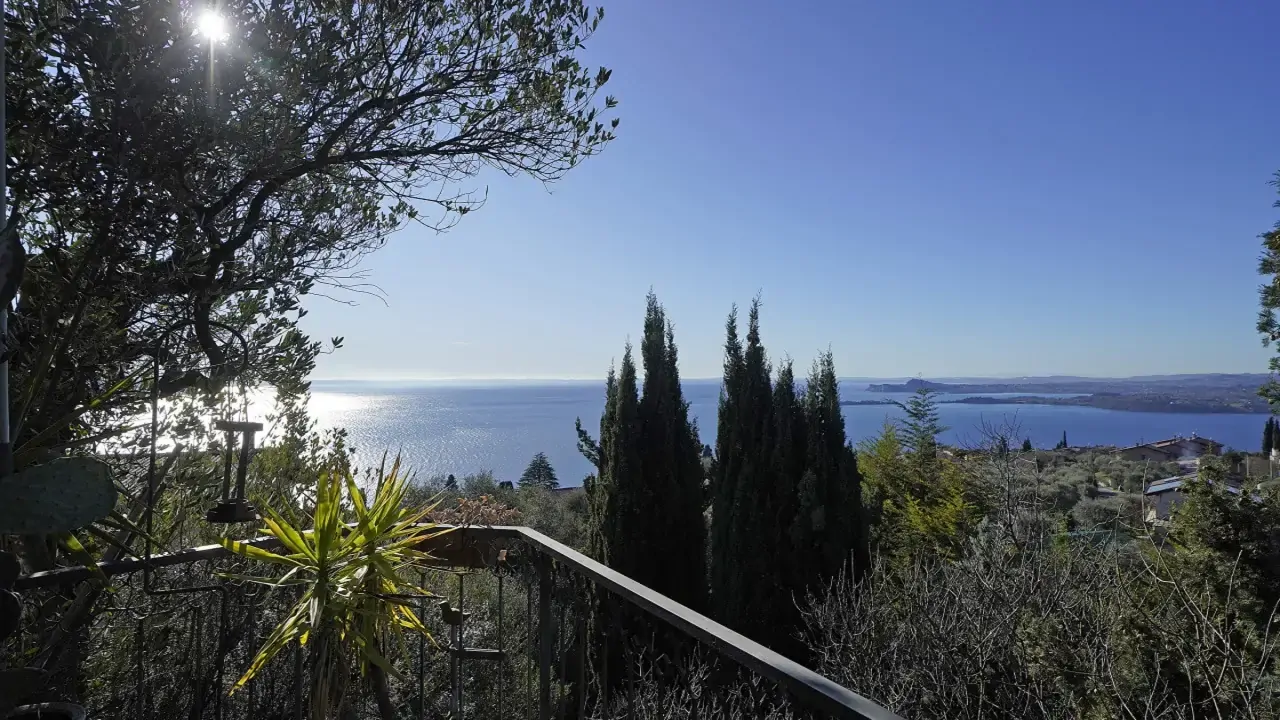 Vista panoramica sul lago da terrazza con vegetazione e ringhiera in ferro