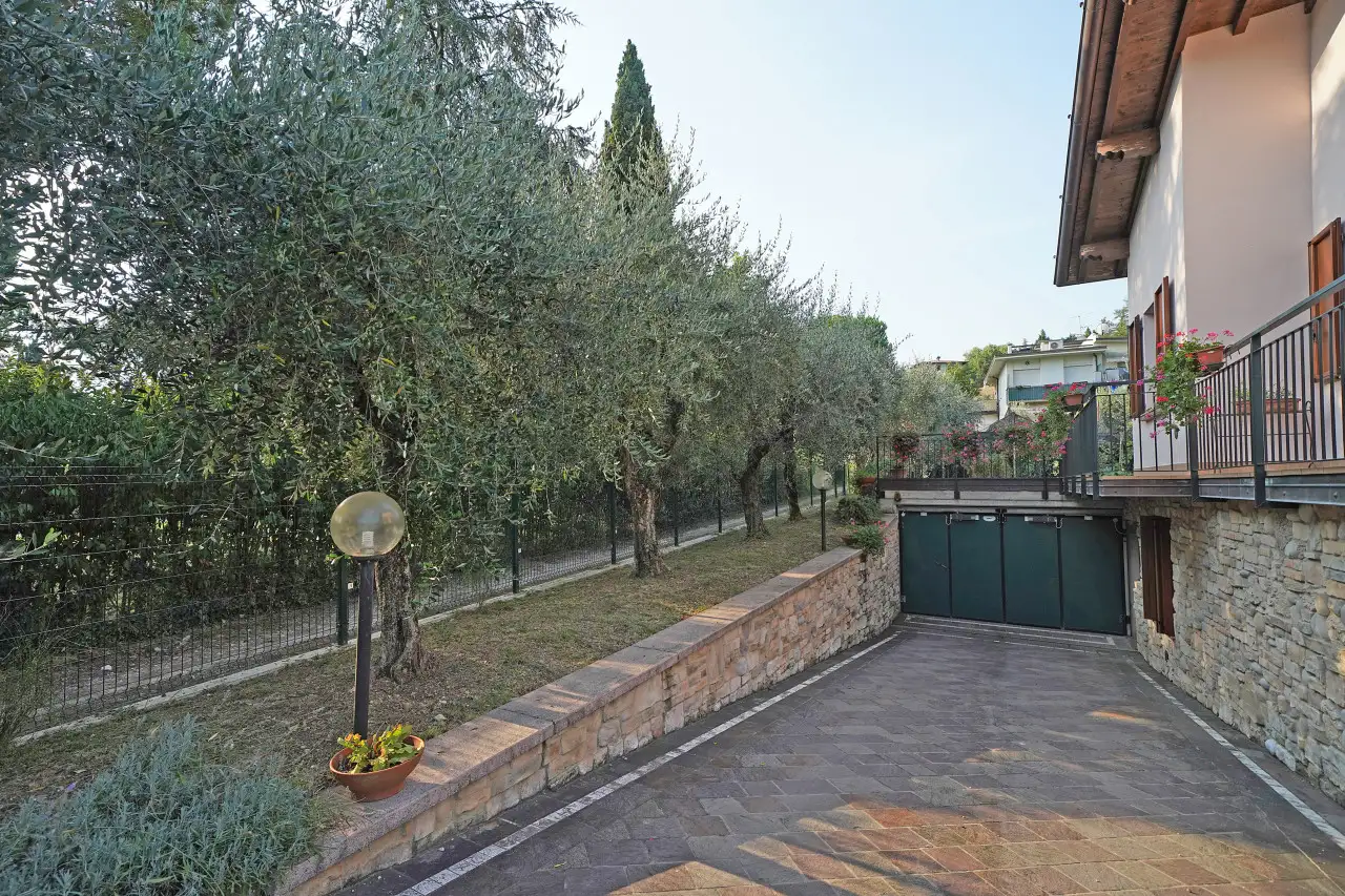 Driveway entrance with path and olive trees
