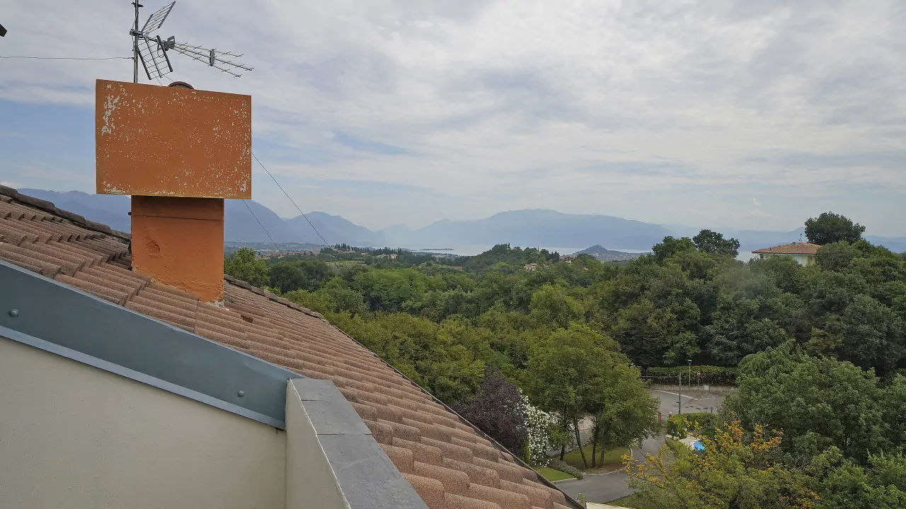 View from the roof with chimney and green trees