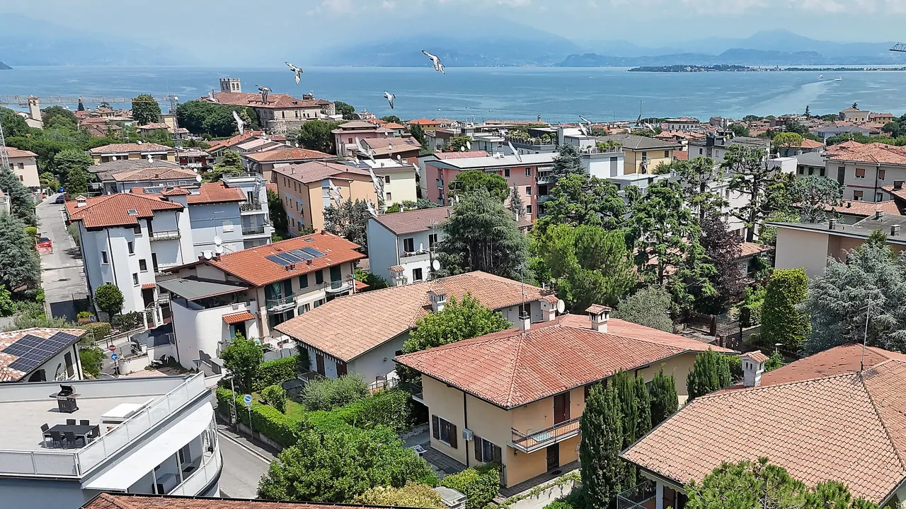 Aerial view of houses and lake with seagulls flying