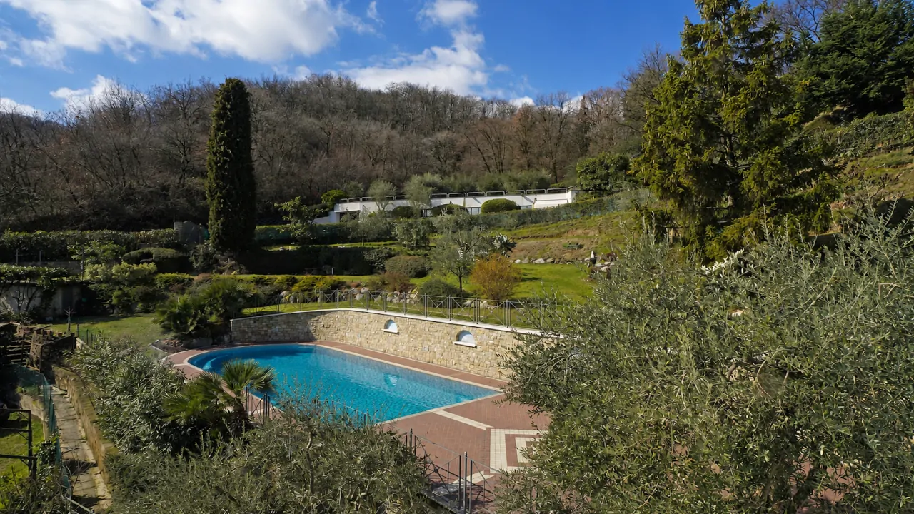 Outdoor swimming pool surrounded by trees and hedges
