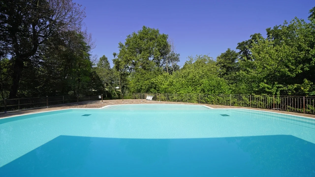 Piscina all'aperto con bordo in pietra e alberi intorno