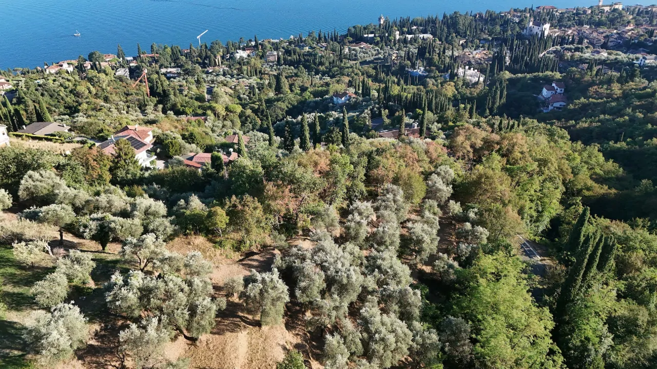 Veduta aerea del terreno con ulivi e vegetazione a Gardone Riviera