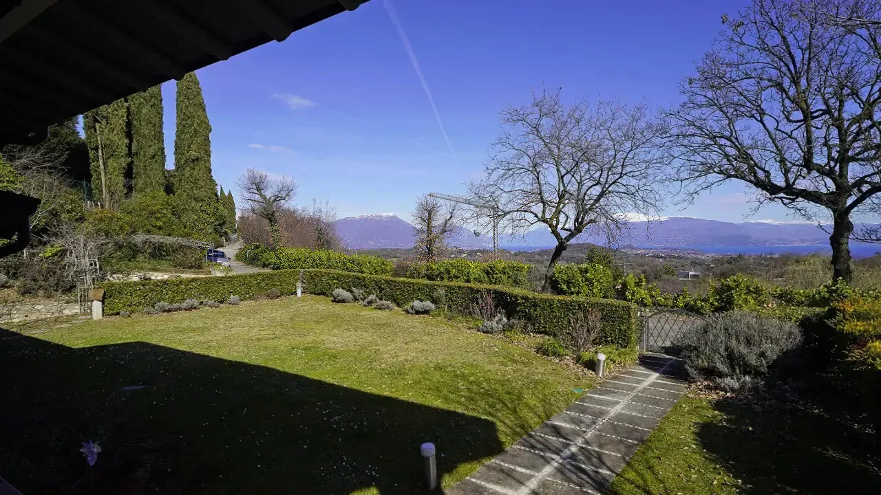 Garten mit Rasen und Bäumen unter klarem Himmel