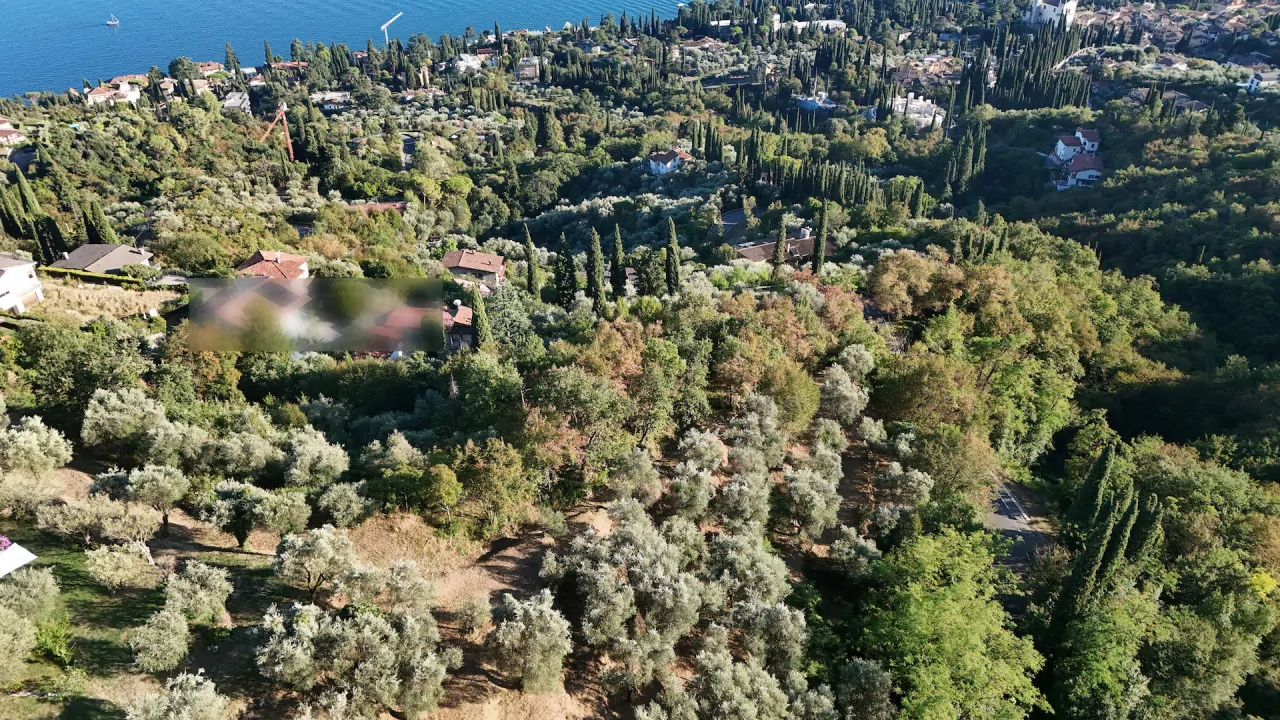 Vista aerea del terreno con ulivi e vegetazione a Gardone Riviera