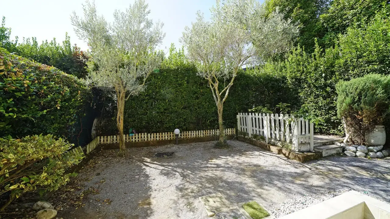 Privater Garten mit Bäumen und grünen Hecken