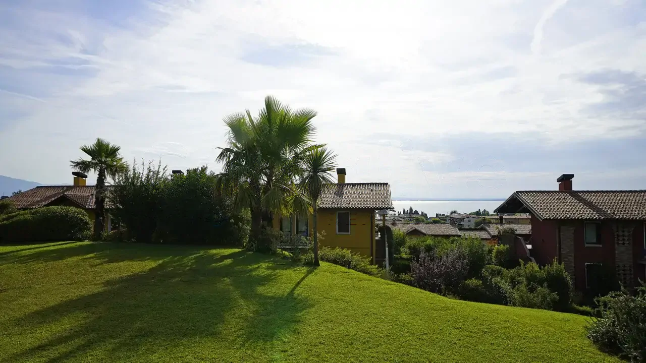 Garden with palm trees and green lawn in residential area