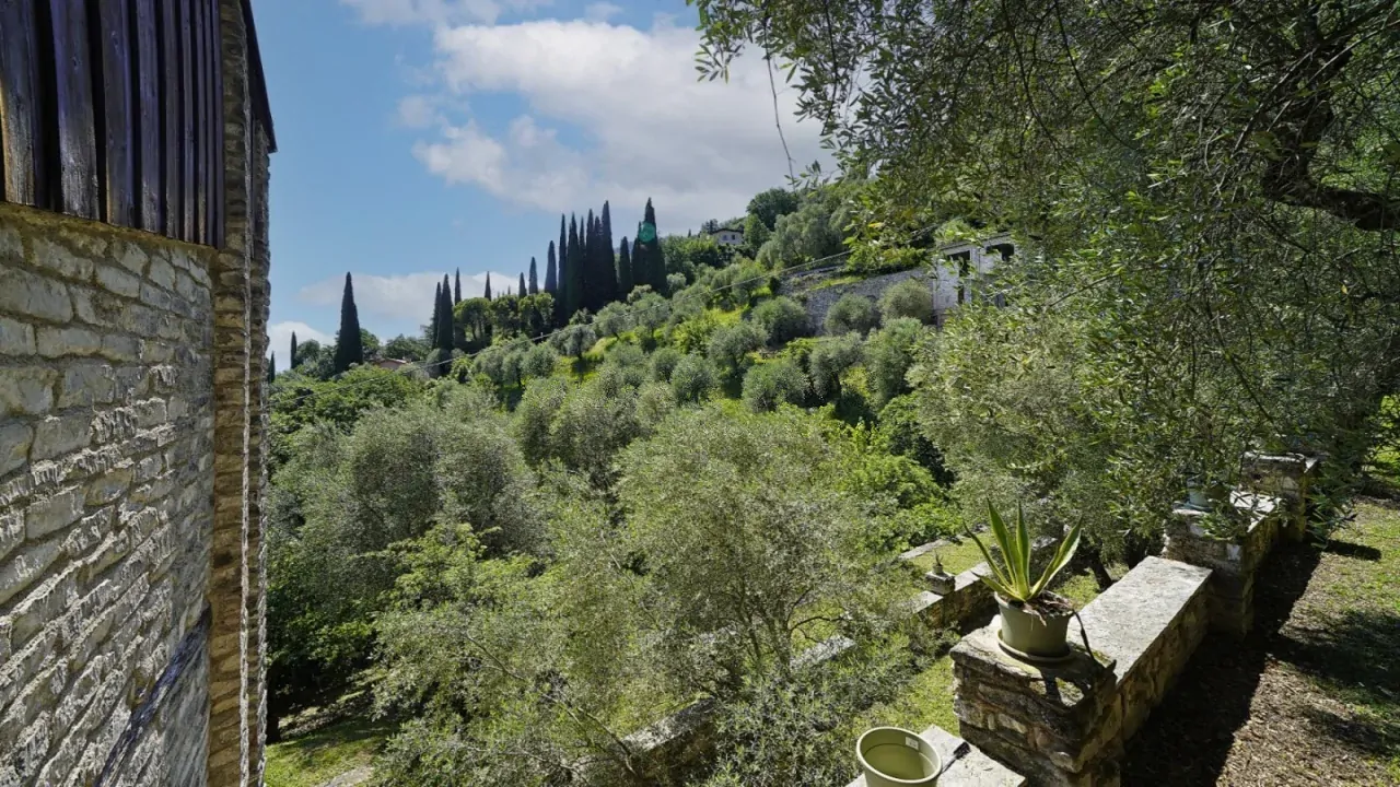 Garden with olive trees and stone walls