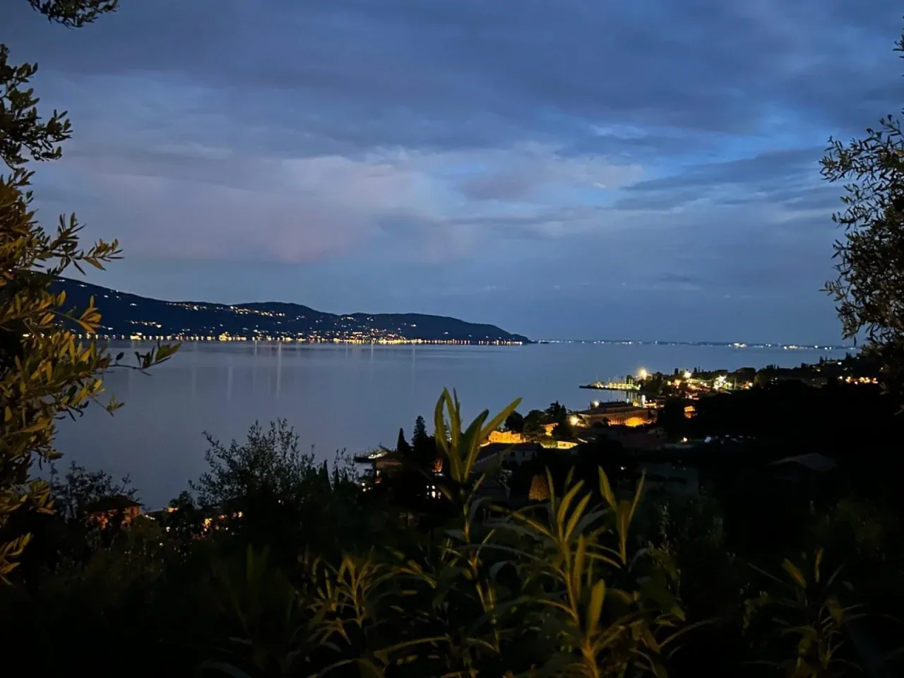 Night view of the lake with city lights and vegetation in the foreground
